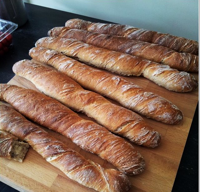 ordinary wheat bread